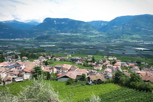 Tramin